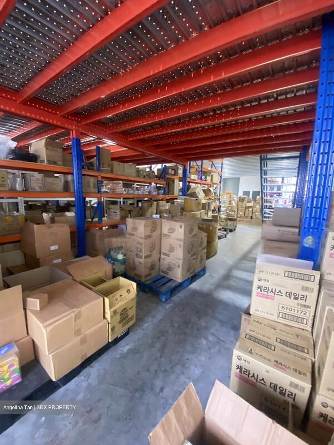 REVV (D22), Factory #570466231